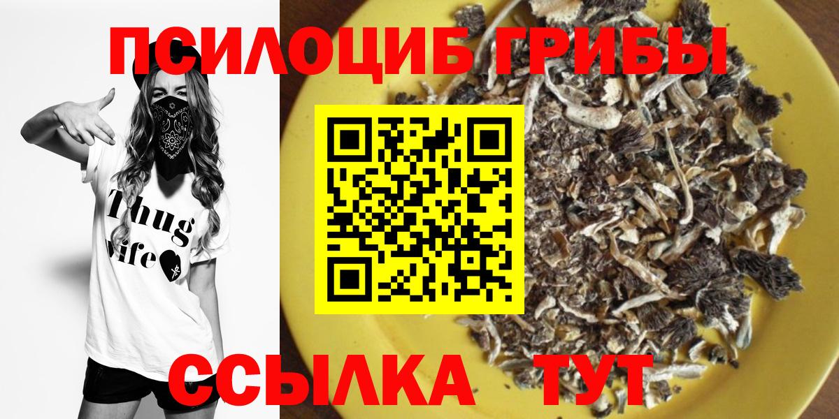 Псилоцибиновые грибы GOLDEN TEACHER  Вход с VPN  Моздок 