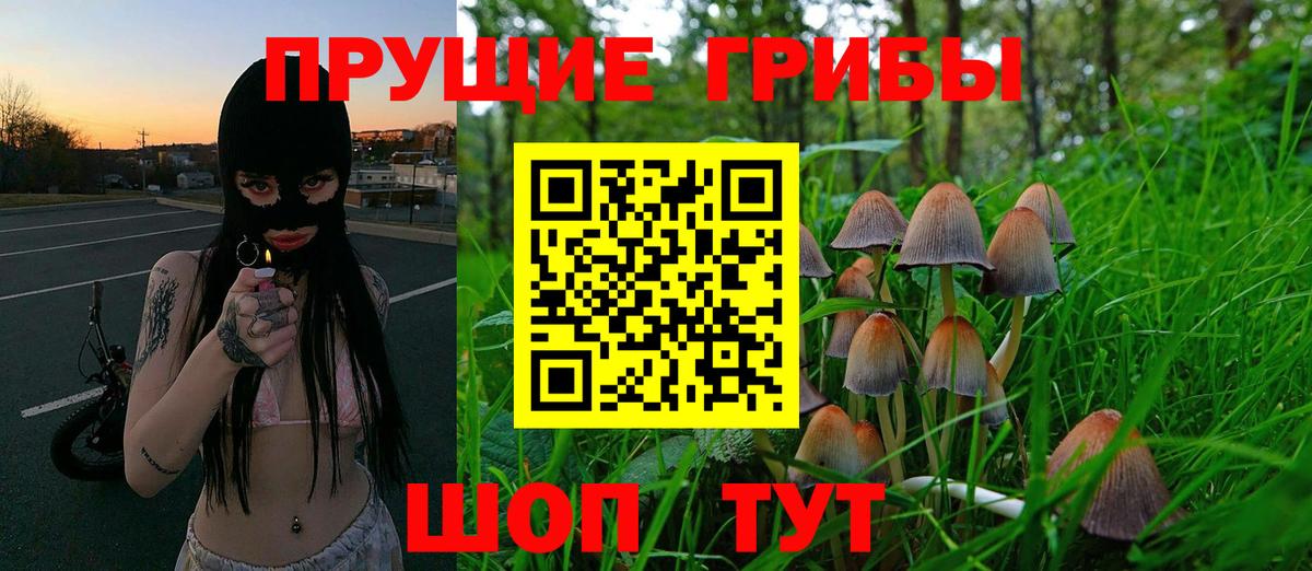 Галлюциногенные грибы Magic Shrooms Моздок